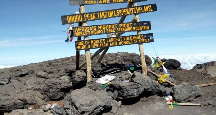 Lemosho Route – Climb Kilimanjaro – 9 days - Meru Slopes Tours and Safaris ltd 4