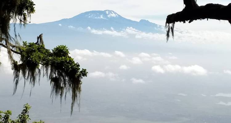 Lemosho Route – Climb Kilimanjaro – 9 days - Meru Slopes Tours and Safaris ltd 6