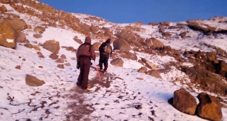 Lemosho Route – Climb Kilimanjaro – 9 days - Meru Slopes Tours and Safaris ltd 7