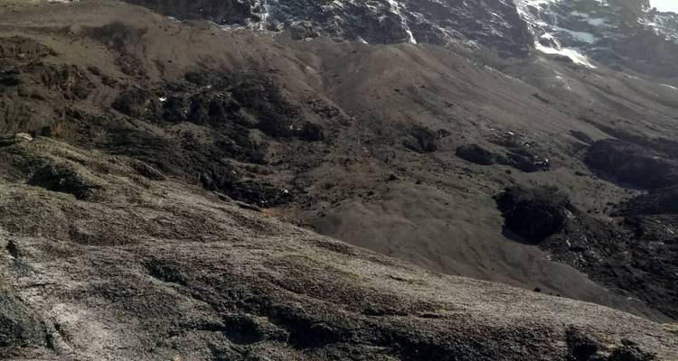 Lemosho Route – Climb Kilimanjaro – 9 days - Meru Slopes Tours and Safaris ltd 8