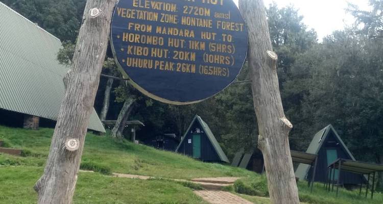 Lemosho Route – Climb Kilimanjaro – 9 days - Meru Slopes Tours and Safaris ltd 9
