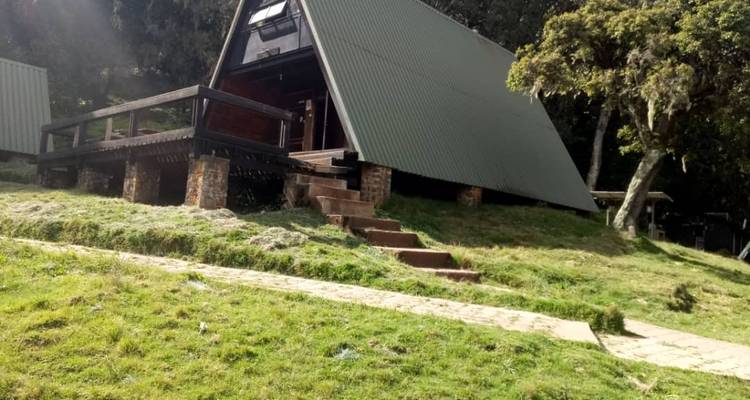 Ruta Lemosho - Escalar el Kilimanjaro - 9 días - Meru Slopes Tours and Safaris ltd 10