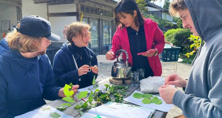 Volontariat pour la conservation de l'environnement, immersion culturelle et séjour dans un temple sur l'île de Sado - World Unite Japan KK 6