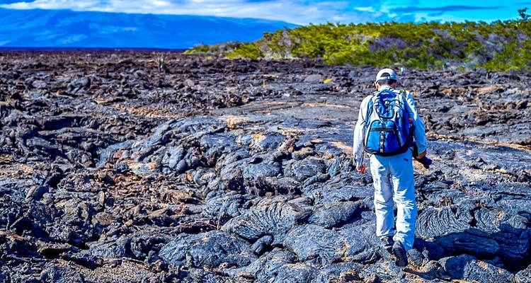 Person wandert auf vulkanischer Gesteinslandschaft.
