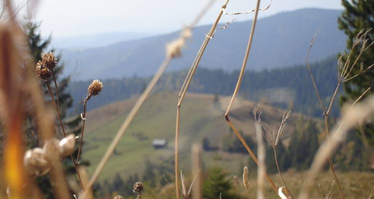 Transylvania and Bukovina by bicycle - Carpathian Travel Center 6
