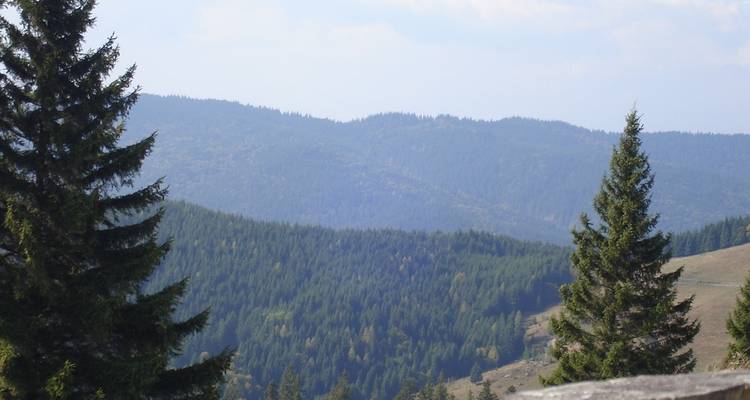 Transylvania and Bukovina by bicycle - Carpathian Travel Center 7