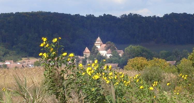 Transylvania and Bukovina by bicycle - Carpathian Travel Center 10