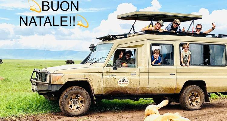 Vehículo de safari con turistas y un león en un camino en las llanuras.