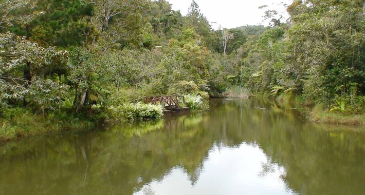 Explorando la avifauna malgache en Andasibe - Green Island Discovery 7