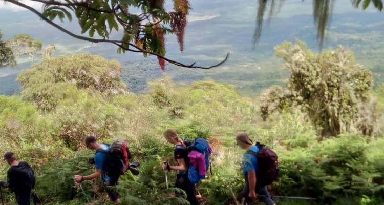 Caminata de 4 días por el monte Meru - Meru Slopes Tours and Safaris ltd 2