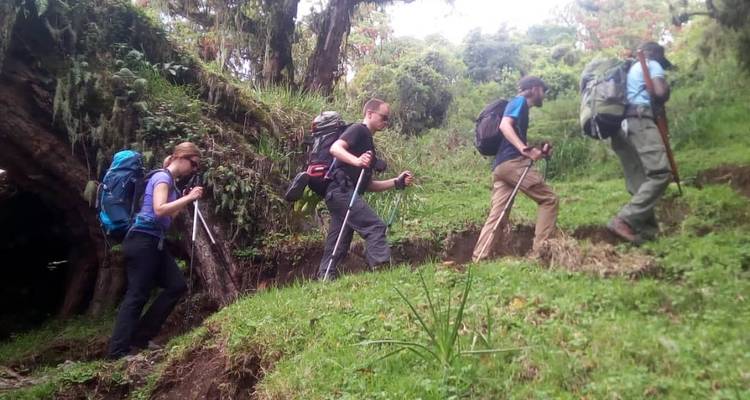 Caminata de 4 días por el monte Meru - Meru Slopes Tours and Safaris ltd 6