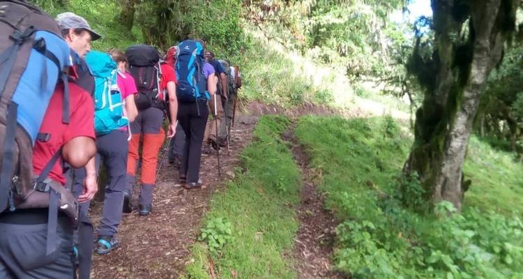 Caminata de 4 días por el monte Meru - Meru Slopes Tours and Safaris ltd 9