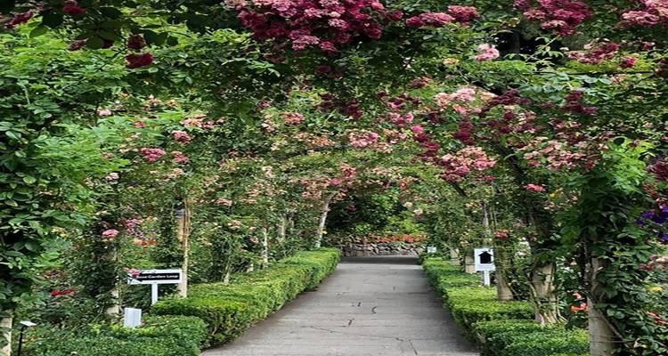 3 Days Vancouver-Victoria, Duncan, Chemainus, Nanaimo Private Tour - Globalduniya 8