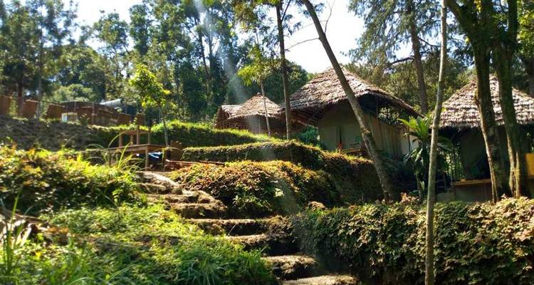Campamento del Kilimanjaro sobre el cambio climático: voluntariado e inmersión cultural - WU Intercultural Experience Tanzania Ltd. 6