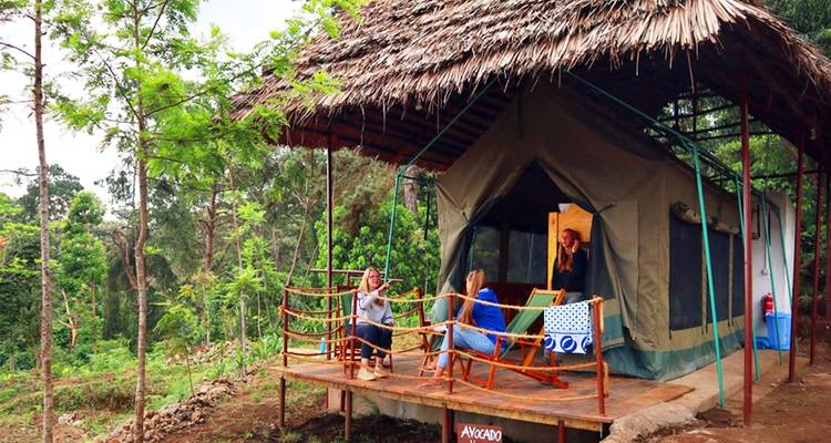 Campamento del Kilimanjaro sobre el cambio climático: voluntariado e inmersión cultural - WU Intercultural Experience Tanzania Ltd. 7