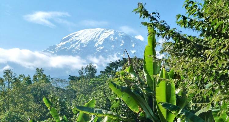Campamento del Kilimanjaro sobre el cambio climático: voluntariado e inmersión cultural - WU Intercultural Experience Tanzania Ltd. 4