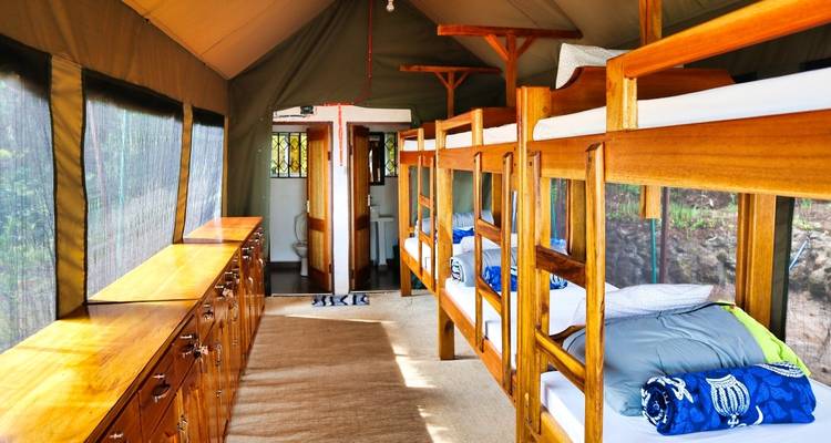 Campamento del Kilimanjaro sobre el cambio climático: voluntariado e inmersión cultural - WU Intercultural Experience Tanzania Ltd. 8