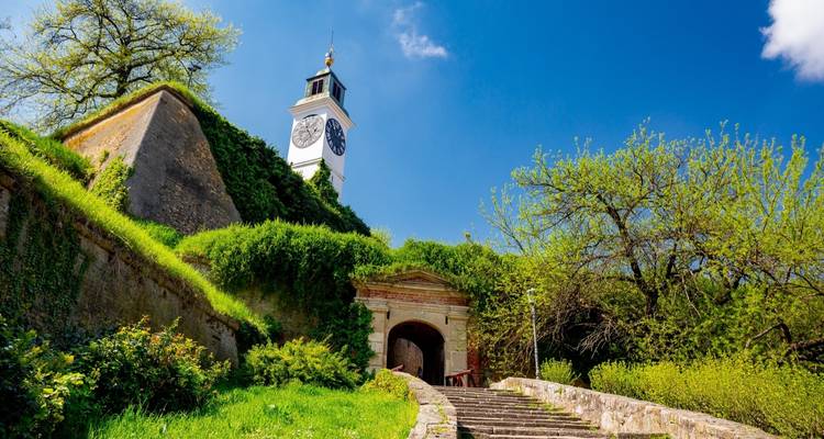 Tour d'horloge entourée de verdure sous un ciel bleu dégagé.