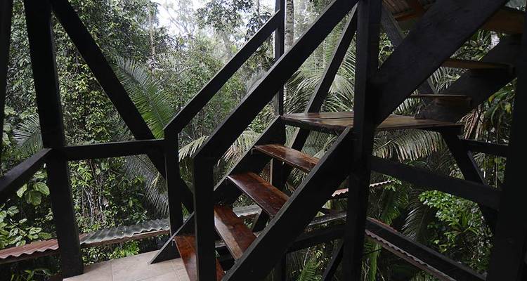Cuyabeno Amazon Eco-Lodge Adventure 6D/5N - Bamba Travel 9