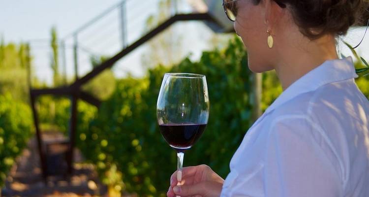 Mendoza Wine et; Mountains Adventure 4D/3N - Bamba Travel 5