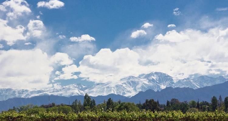 Mendoza Wine et; Mountains Adventure 4D/3N - Bamba Travel 4