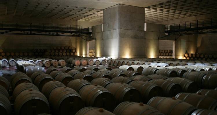 Mendoza Wine et; Mountains Adventure 4D/3N - Bamba Travel 3