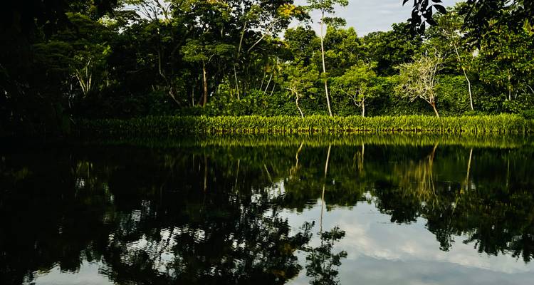 Stille Lagune, die dichtes grünes tropisches Laub und einen teilweise bewölkten Himmel widerspiegelt