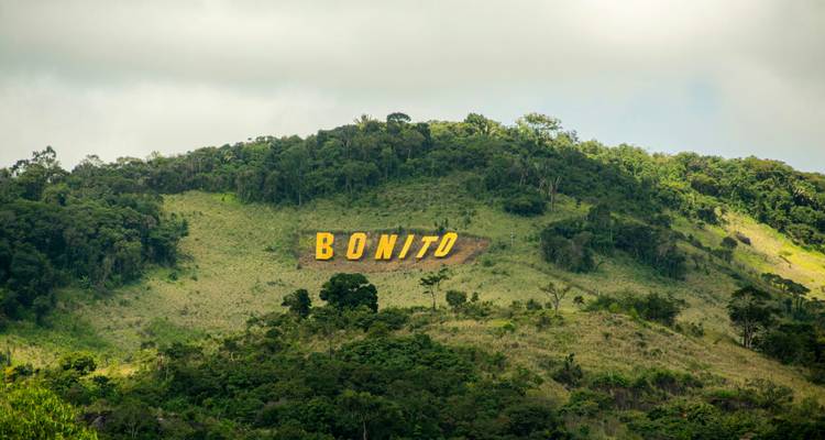 Une colline porte une grande enseigne jaune « BONITO » au milieu d'une forêt verte luxuriante sous des ciels nuageux.