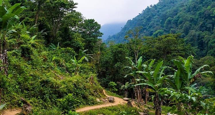 Tayrona Beaches & Lost City Trek 8D/7N - Bamba Travel 10