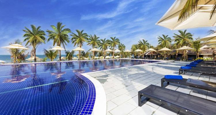 An inviting pool area lined with palm trees, under a sunny sky.