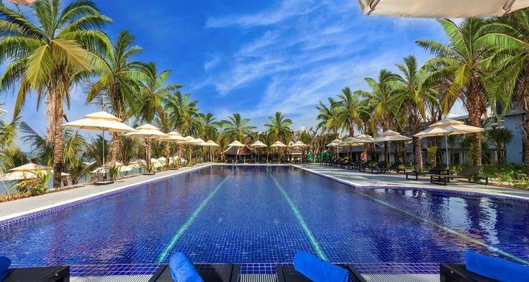 Large pool surrounded by palms with a clear sky and vibrant blue water.