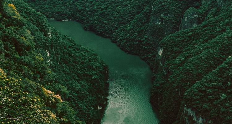 Chiapas Tour: a Fascinating Trip from Mexico City to San Cristobal - Vibe Adventures 2