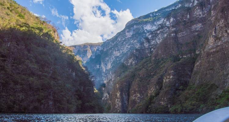 Chiapas Tour: a Fascinating Trip from Mexico City to San Cristobal - Vibe Adventures 3