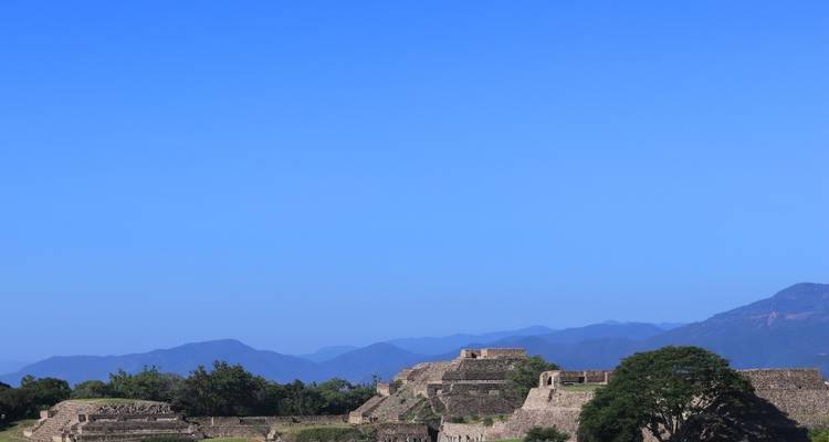 Chiapas Tour: a Fascinating Trip from Mexico City to San Cristobal - Vibe Adventures 7