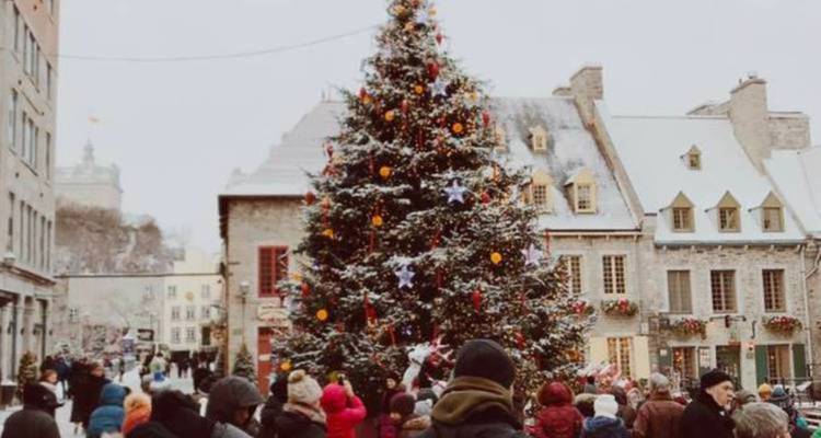 Christmas Markets on the Danube MS Fidelio - Crucemundo  1