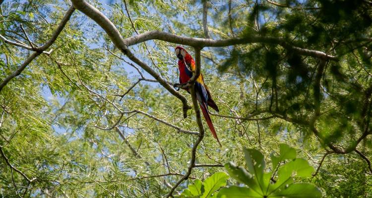 Mayan tour: Discover the Best of South Mexico Paradise and Ancient Past - Vibe Adventures 7
