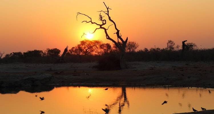 Okavango et Chobe - Encounters Travel 10