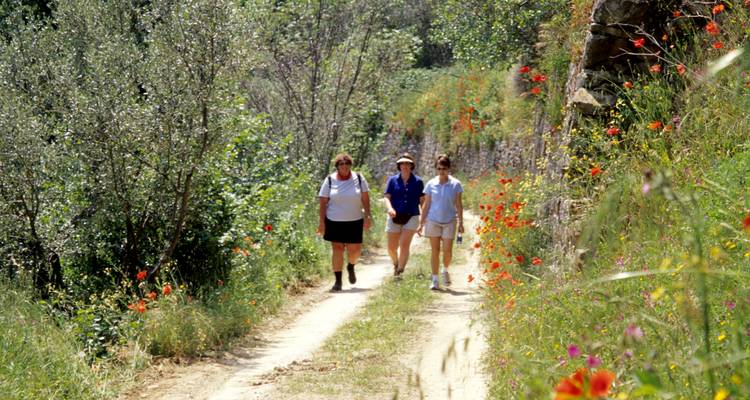 Circuit de marche et de randonnée en Toscane - Caspin Journeys 6