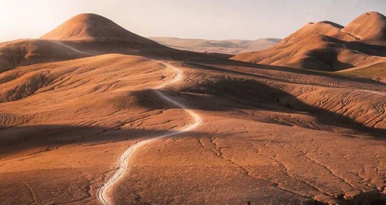 Vue panoramique de collines désertiques ondulantes traversées par une seule piste sinueuse sous une lumière claire.