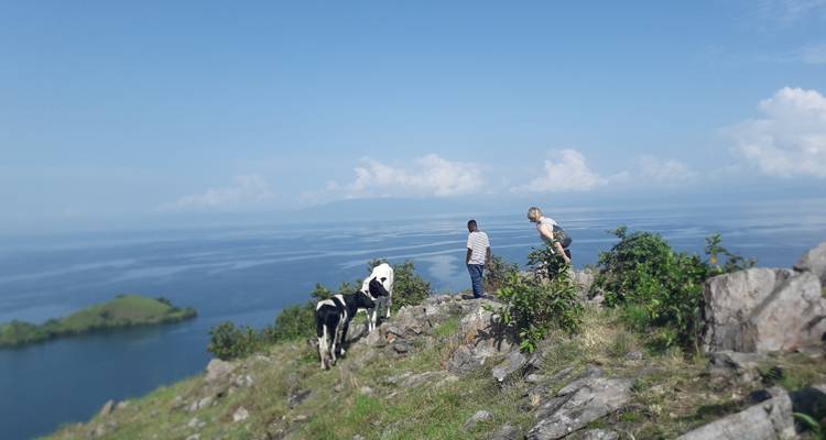 Safari de gorilles au Rwanda et d'excursions dans la nature - 7 jours - New Horizon Africa Safaris 9