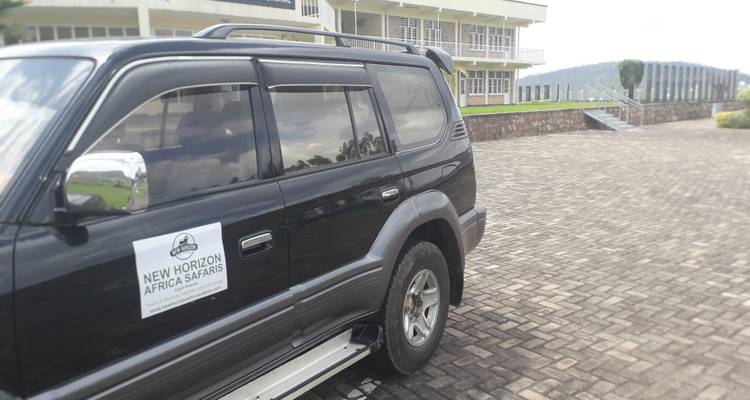 Safari de gorilles au Rwanda et d'excursions dans la nature - 7 jours - New Horizon Africa Safaris 10