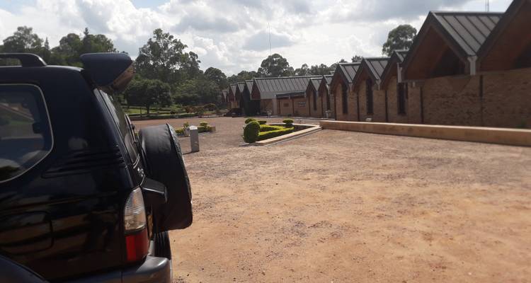 Circuit de luxe de 9 jours au Rwanda avec Trek dans les gorilles - New Horizon Africa Safaris 3
