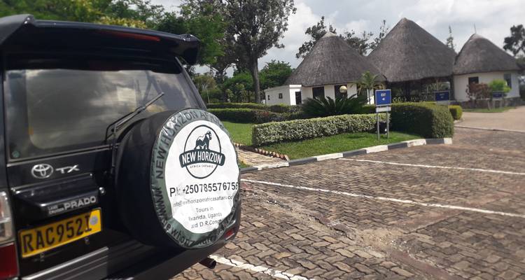 Circuit de luxe de 9 jours au Rwanda avec Trek dans les gorilles - New Horizon Africa Safaris 4
