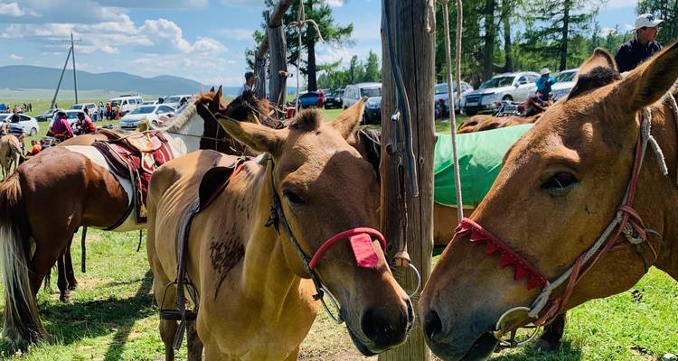 Festival de Naadam y Excursión al Parque Nacional de Terelj - TTRMongolia 10