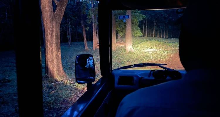 Intérieur d'un véhicule traversant une forêt la nuit.