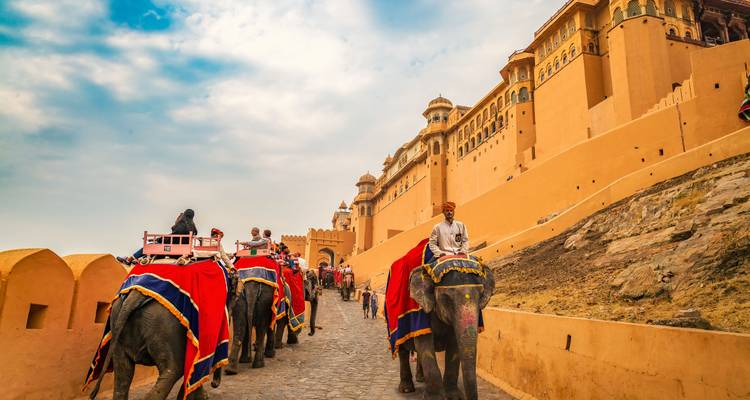 Elephants with tourists in traditional Indian setting.