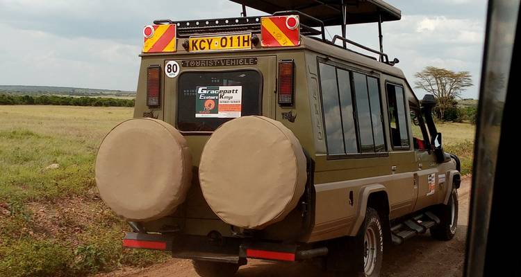 8 jours de visite guidée classique dans le parc national du Serengeti - Gracepatt Ecotours Kenya 2