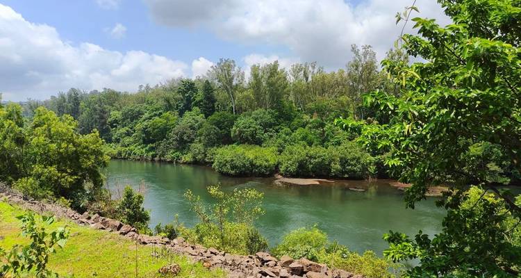 A serene river landscape with greenery and blue sky.