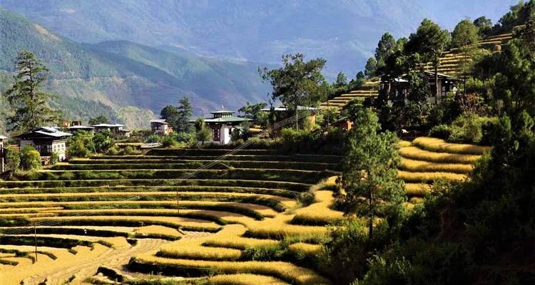 Exploración del Himalaya en Bután - Bhutan Best Inbound Tour 9
