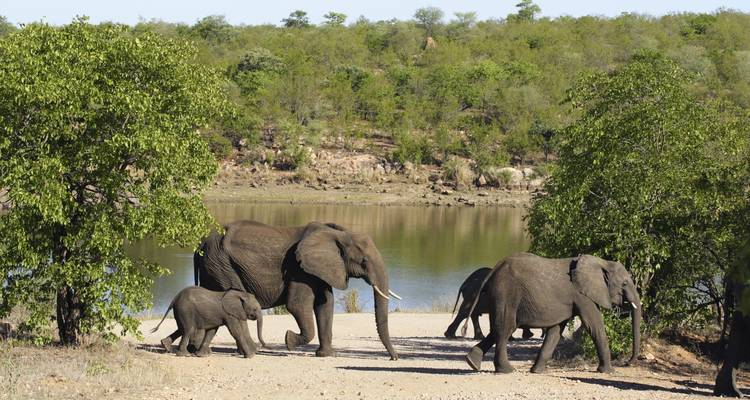 Kruger en profondeur - G Adventures 3